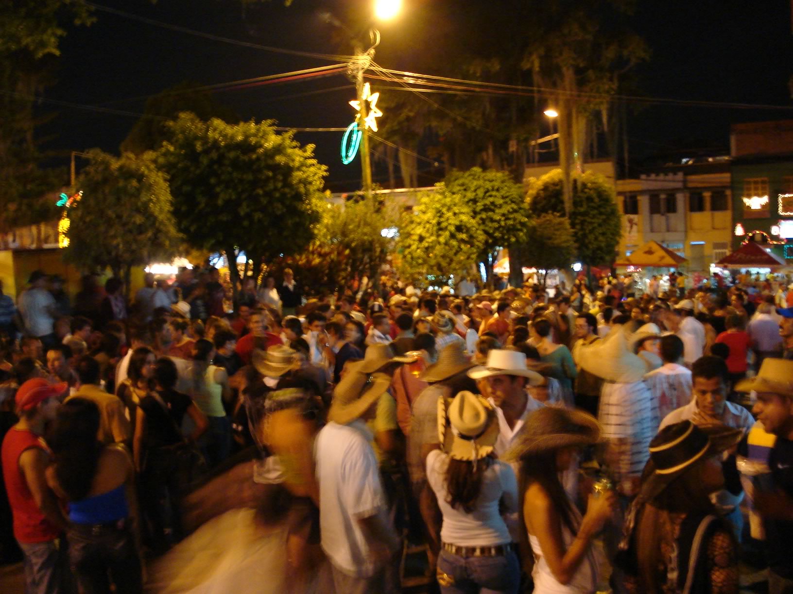 many people stand in a crowd during a festival