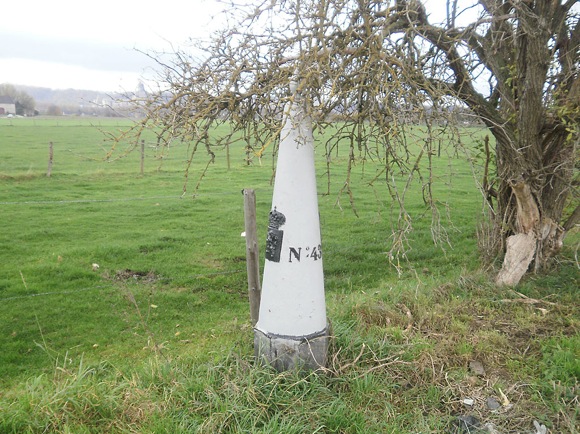 a close up of a marker on a grassy field
