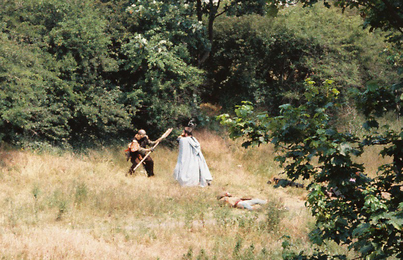 two people dressed in costumes are playing in a field