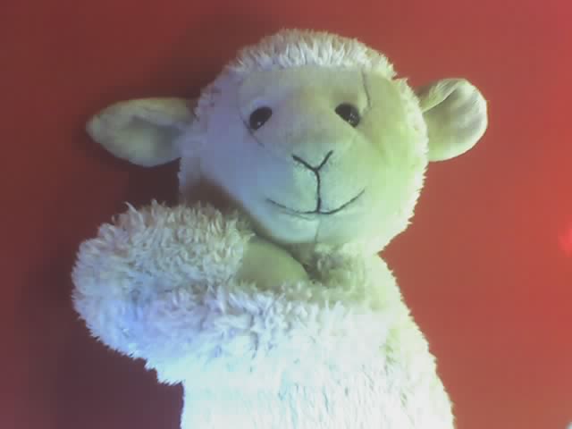 a stuffed sheep sitting in front of a red wall