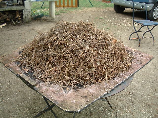 a bunch of twigs are piled on top of a table