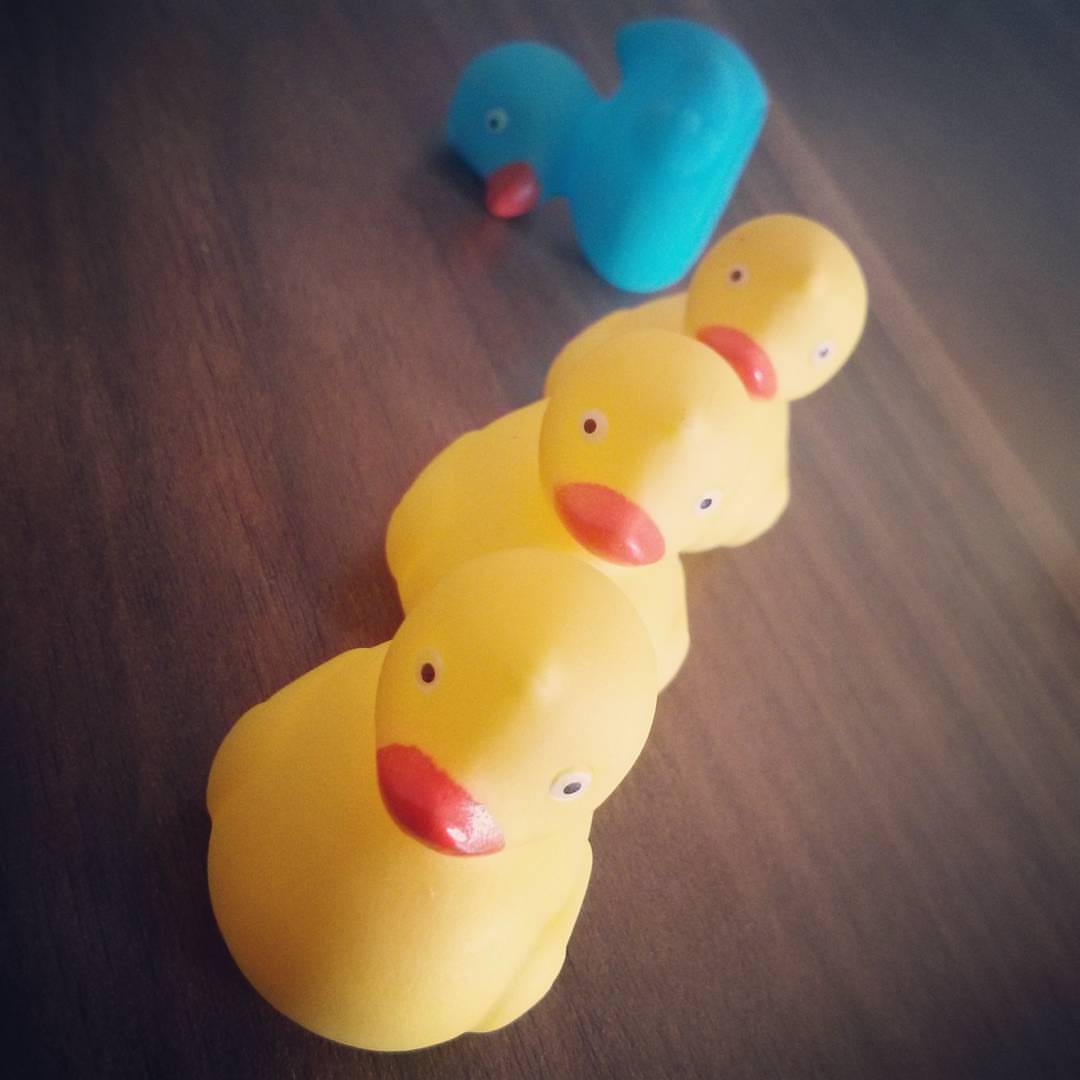 several rubber ducks on the ground with hearts