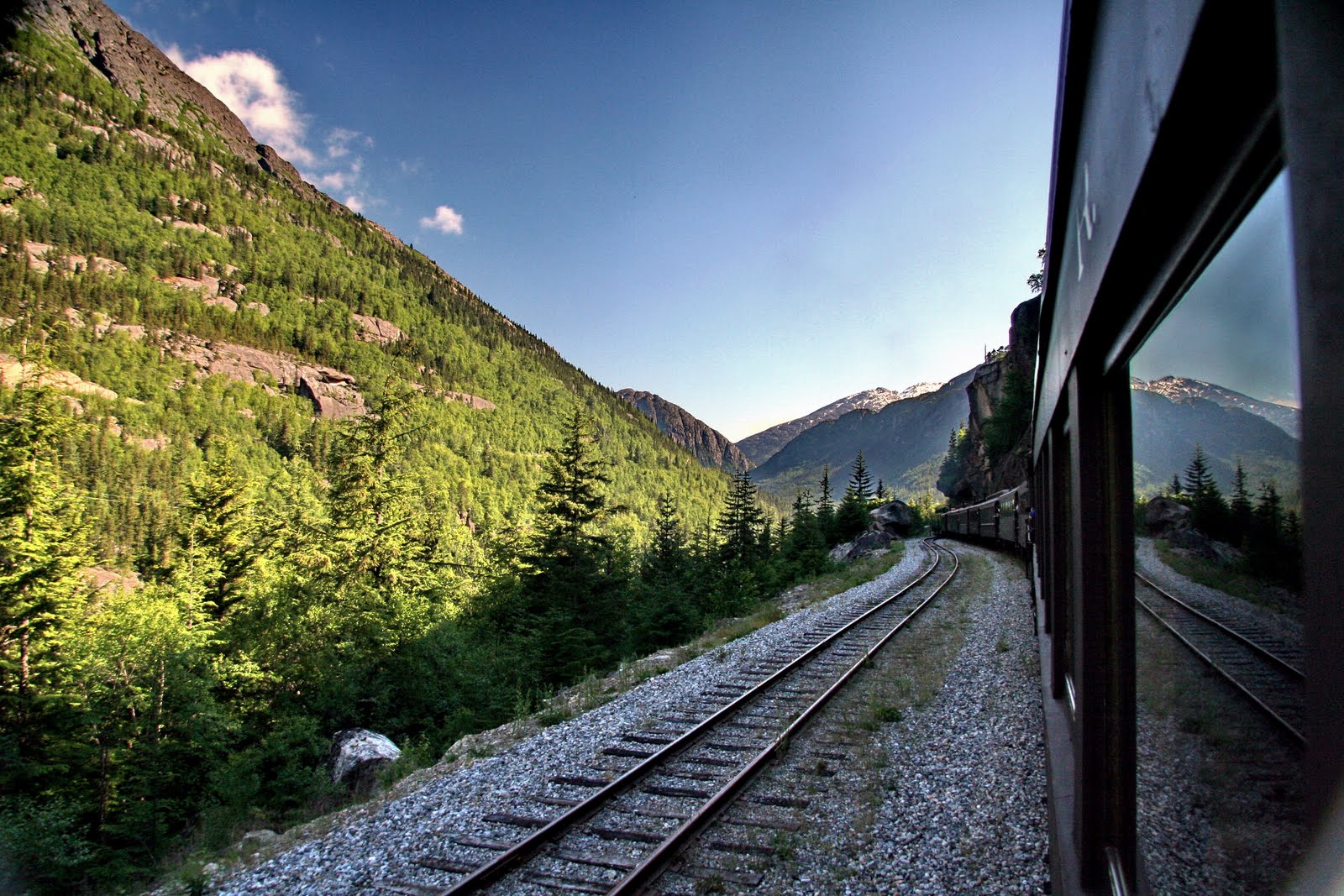 an image taken from inside a train looking into a forested area