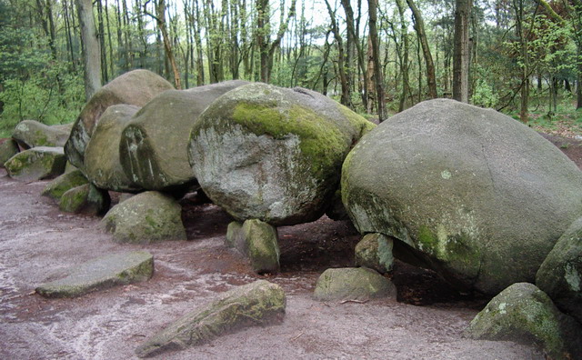rock formations growing around each other in the forest