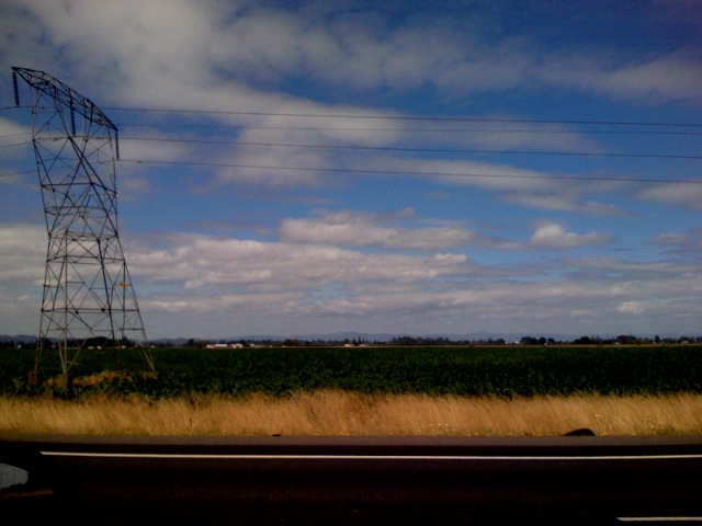 some power lines are in the field near an empty street