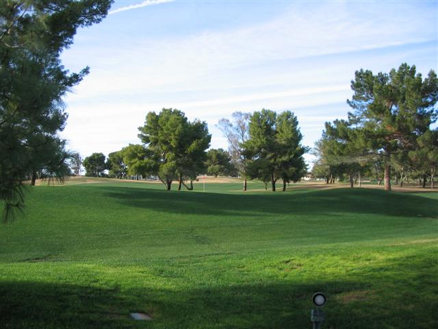 a green golf course with several trees in the background
