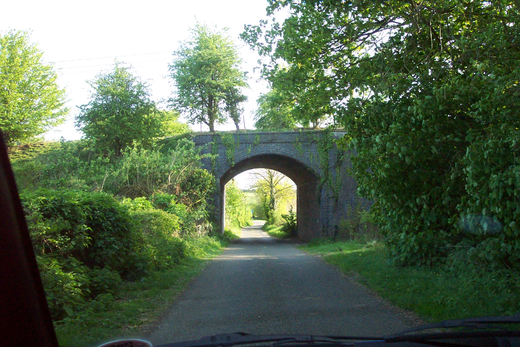 view through a vehicle window of a tunnel in the woods