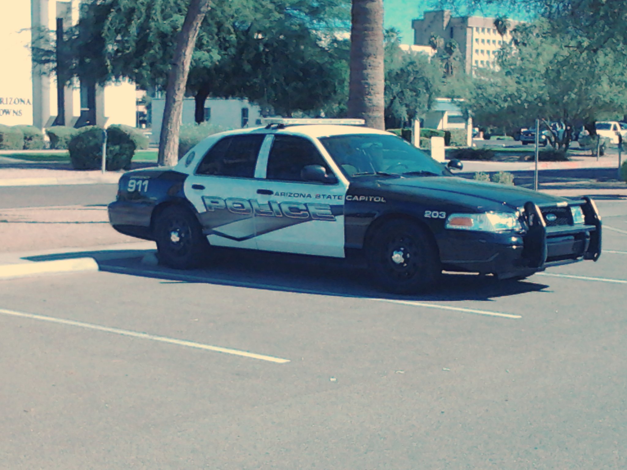 police car parked at curb with building and trees