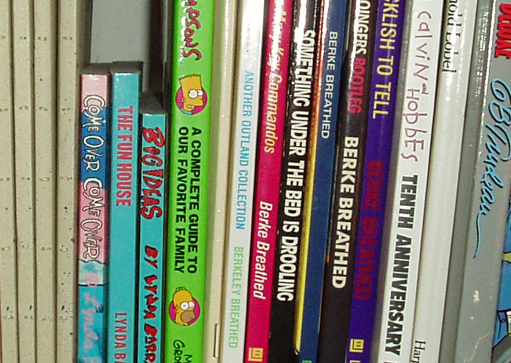 books lined up on the shelf in a liry
