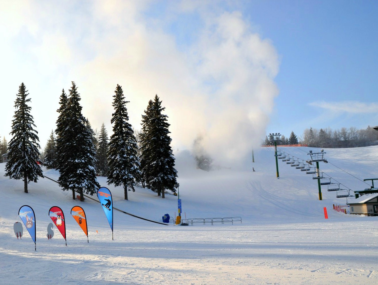 some trees and ski lift in the background on a snowy day