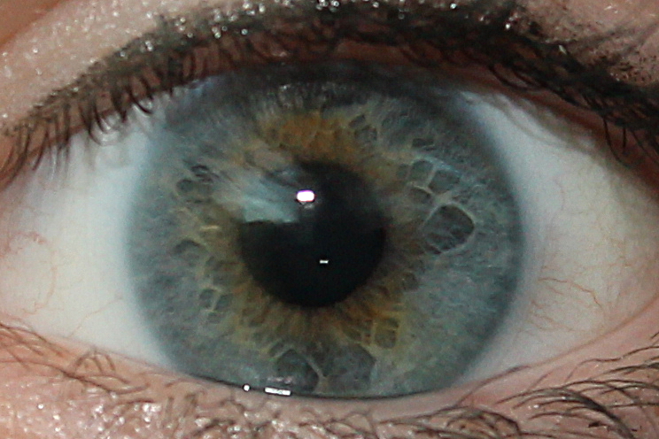 a closeup po of the blue iris of a person's eye