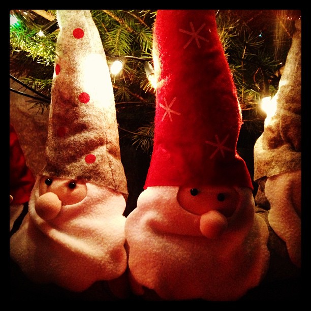 three gnome hats in front of a christmas tree