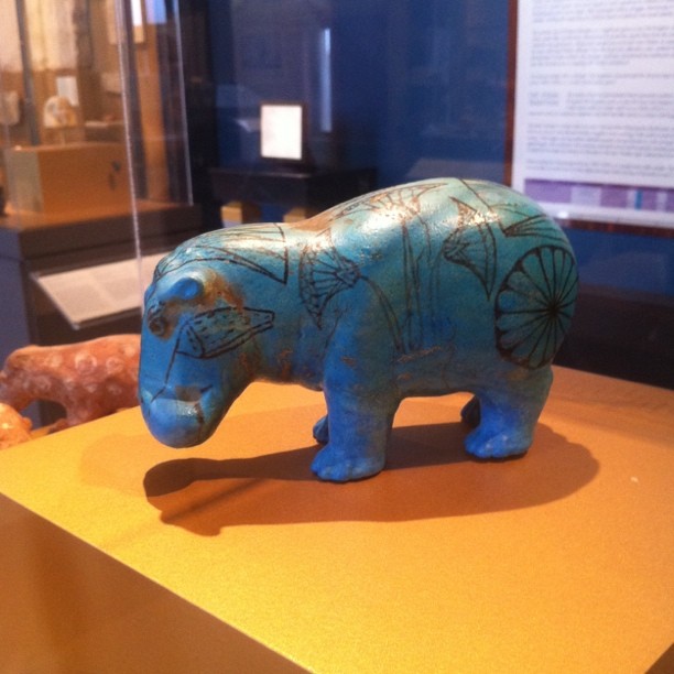 small elephant on display in case with other things