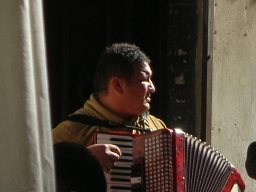 an image of a man playing the accordion