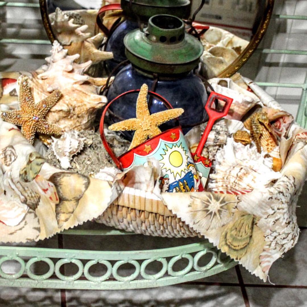 seashells and starfish arranged on a table