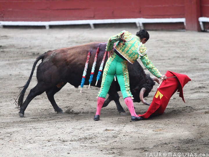 there is a man that is trying to pull a bull