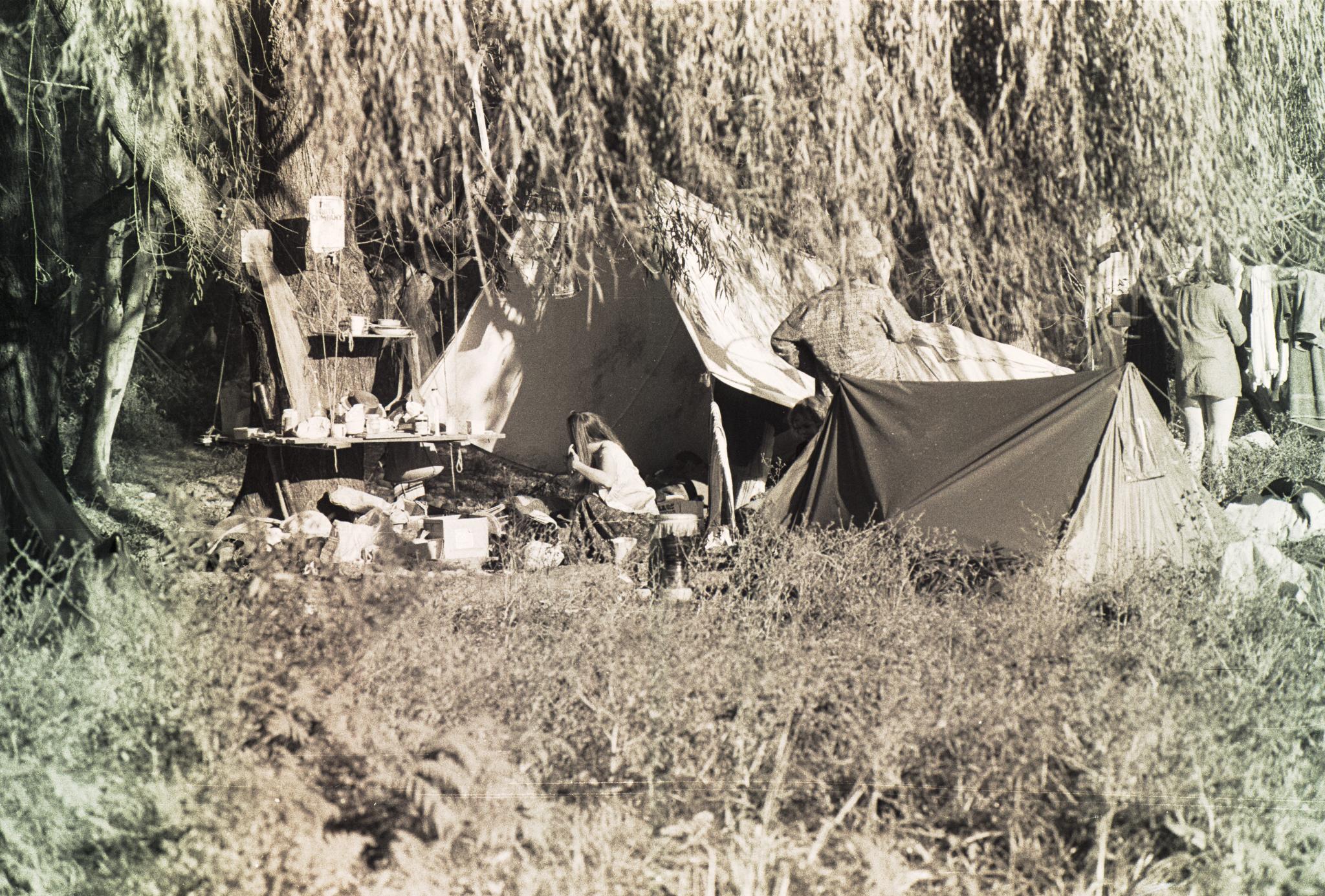 a black and white pograph with people under a willow tree