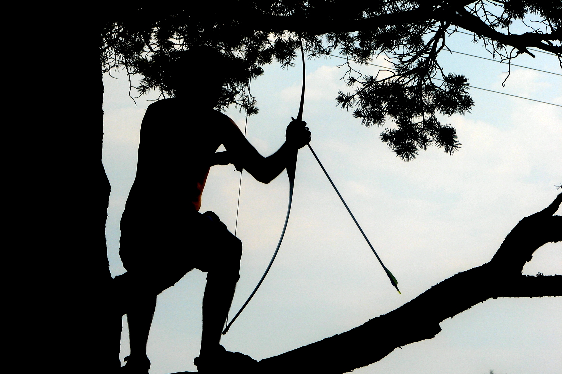 a person in the shadow climbing on a limb with wires