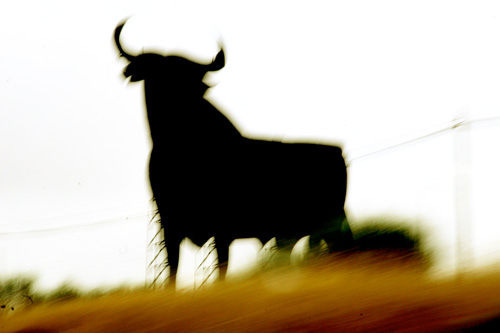 a large steer standing in front of a fence with a sky background