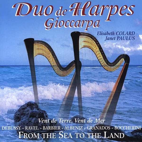 two musical instruments near an ocean and a sky