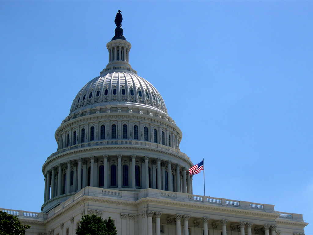 a view of the u s capitol building with a flag in front