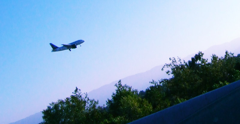 a plane flying low over some trees with a hill in the background