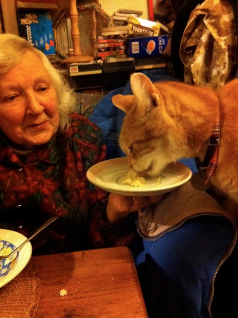 the woman and orange cat are eating out of plates