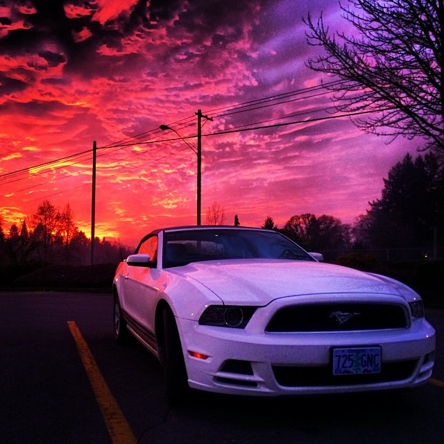 a white mustang parked near a street in front of a sunset