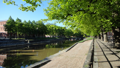 trees are lined up along a walkway beside a canal