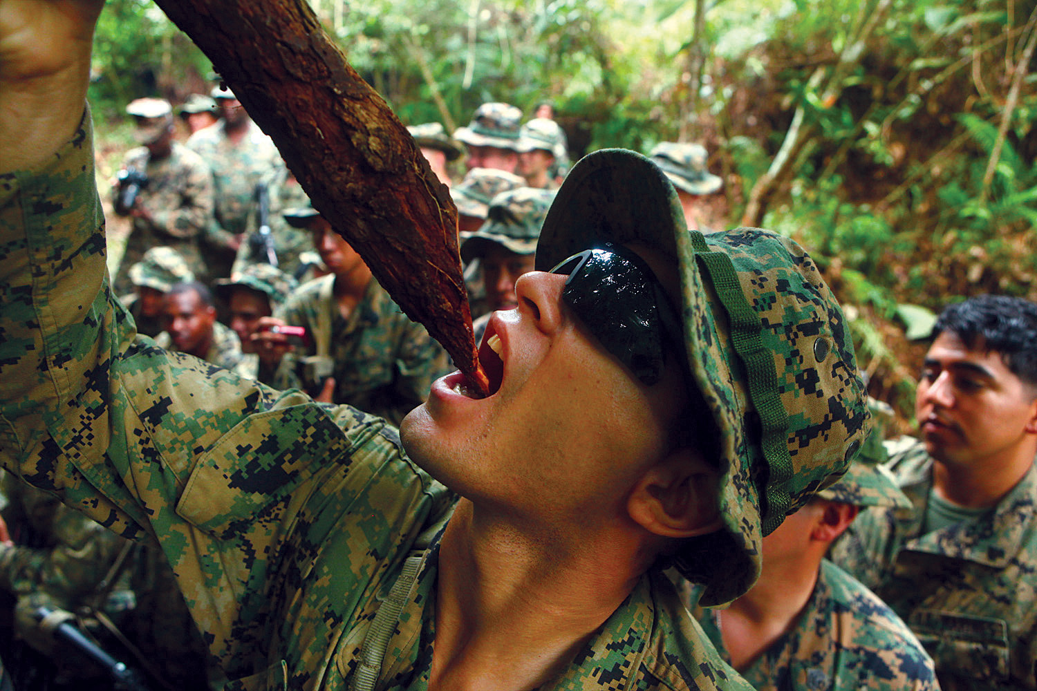 the soldiers are all trying to get their first bite from the tree