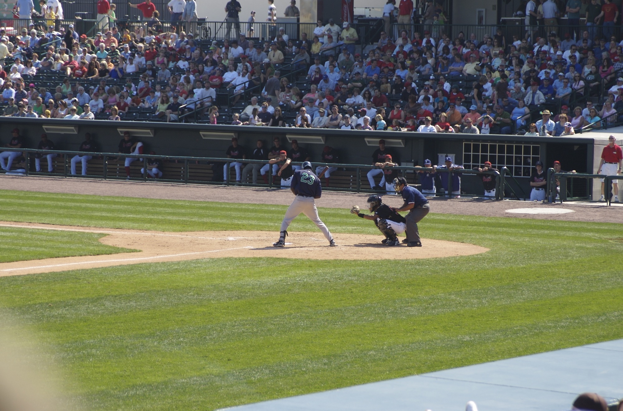 a baseball player in a black jersey is at bat