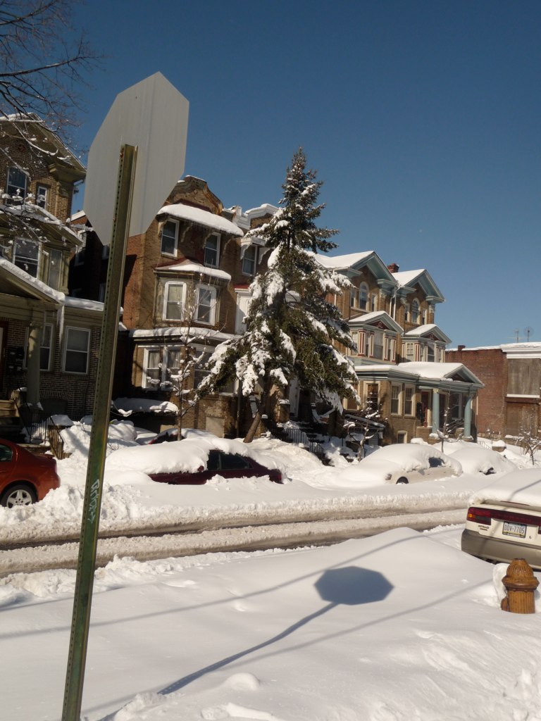 a snow covered area with trees and houses