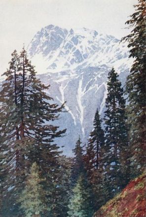 a painting of trees and mountain peaks with clouds