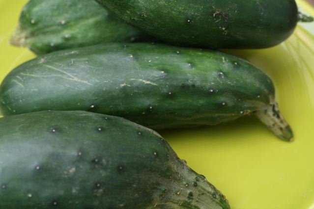 cucumbers sit on a bright green plate