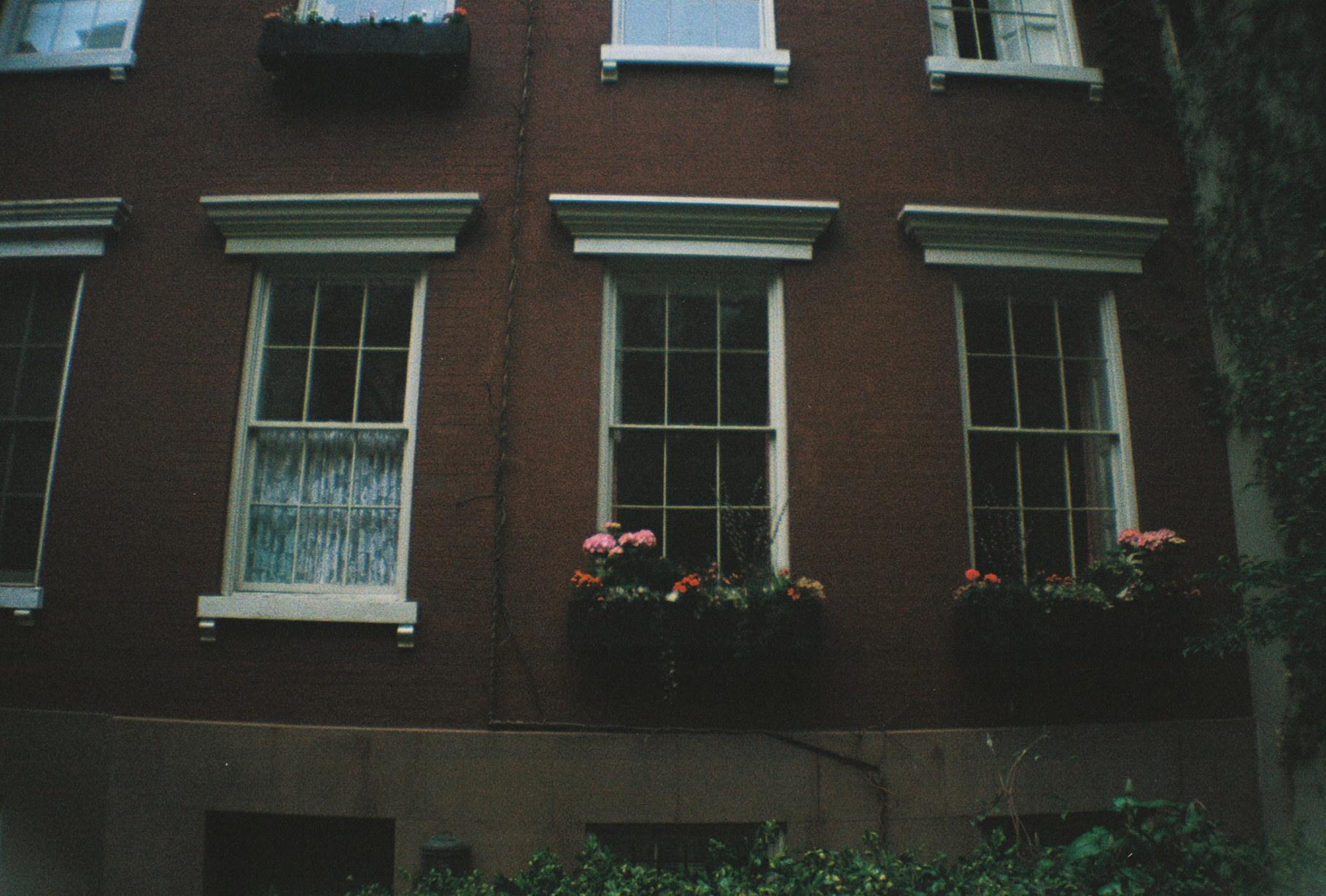 four white windows with flower boxes on each of them