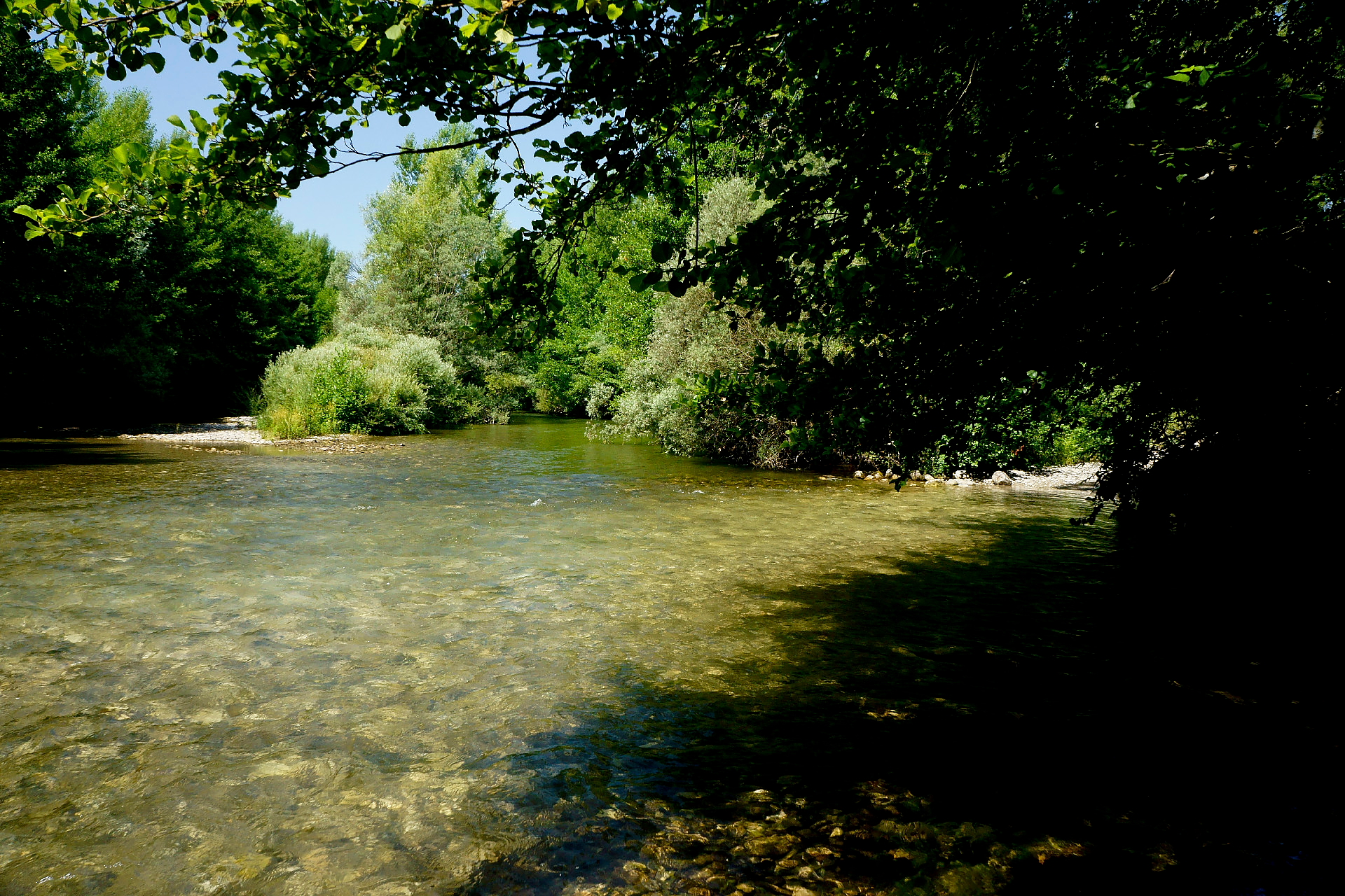 a large river with trees and some water