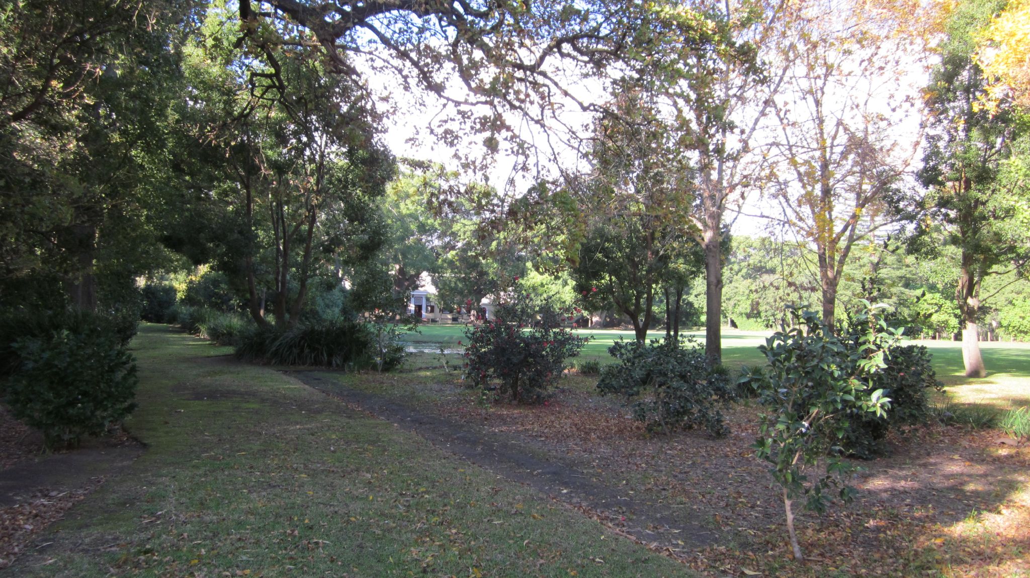 a grassy area with trees and bushes in the foreground