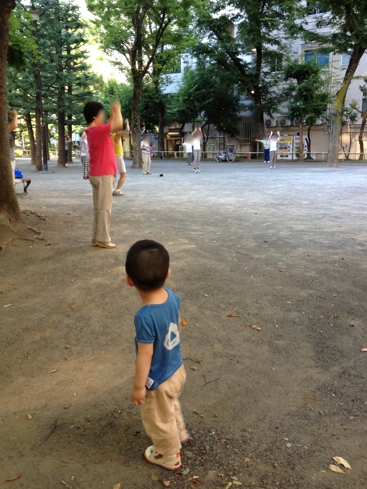 a little boy holding a kite in his hands