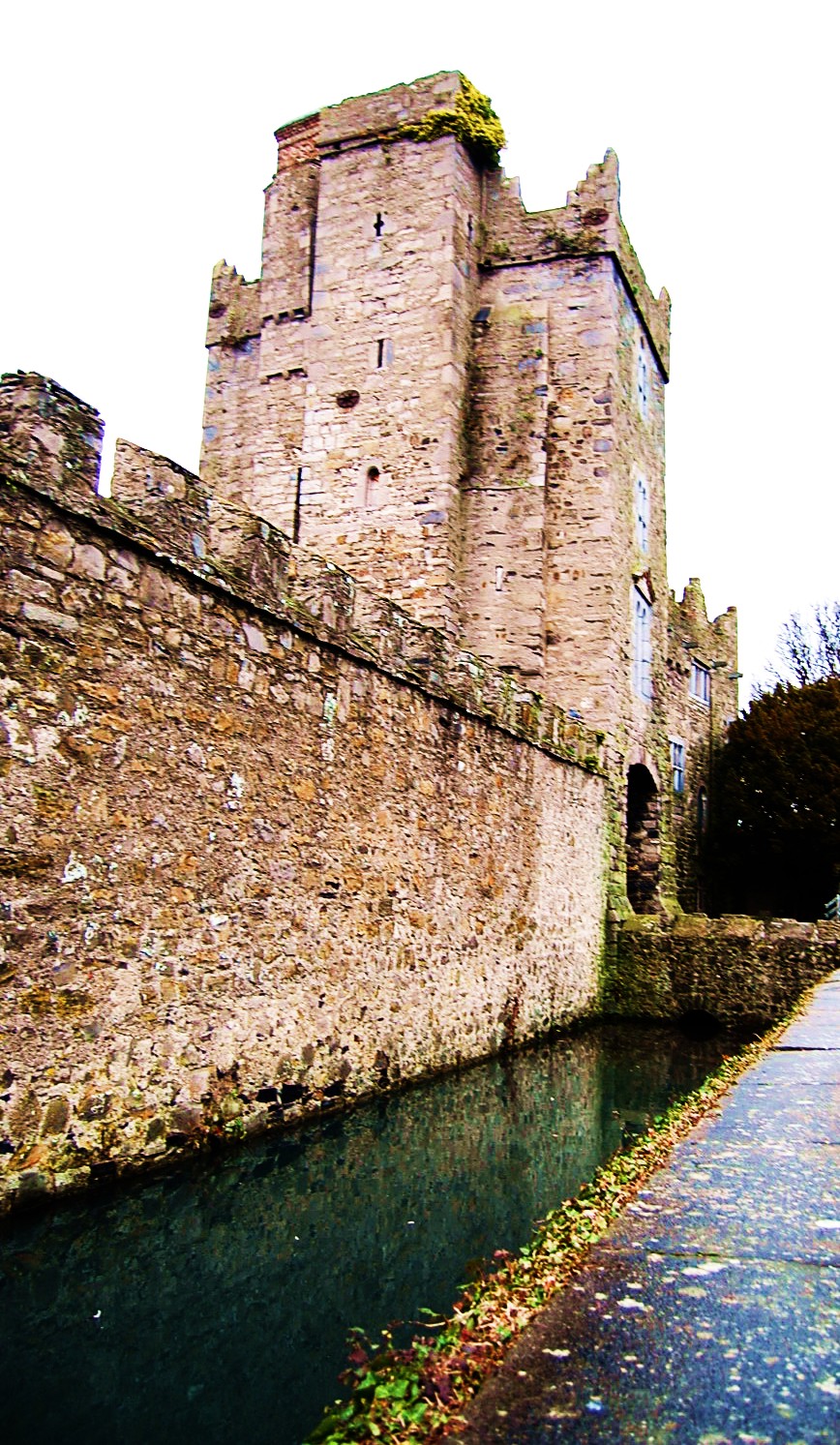 there is a castle and the water runs in front of it