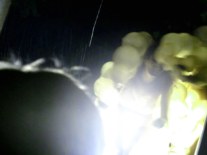 several people in the dark looking down at some balloons