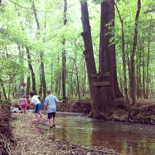 some s walk through the water in a stream