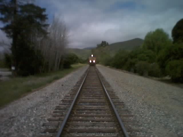 a train traveling down tracks next to forest