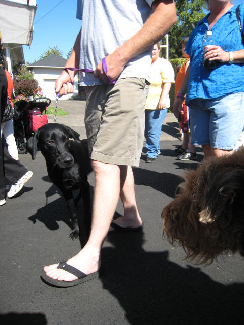 a man walks with his dog on a leash