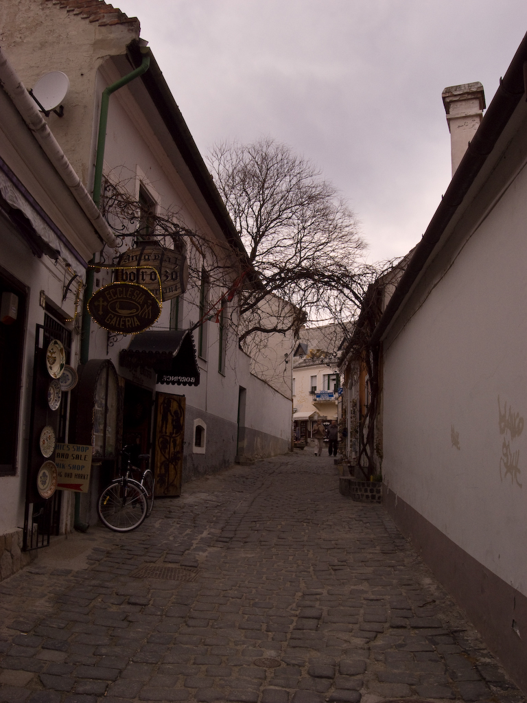 the narrow cobblestone street in front of many shops