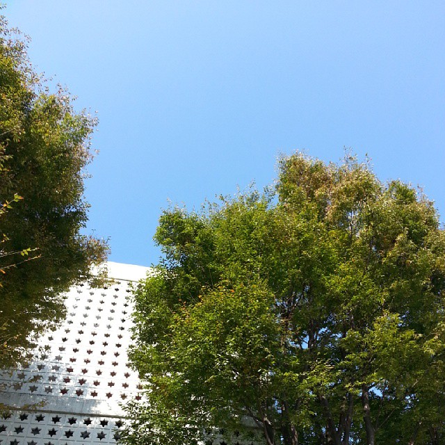 a building sits behind trees against a blue sky