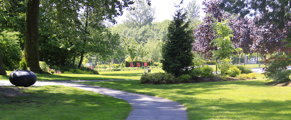 the path winds through a grassy park with an area with green grass and tall trees