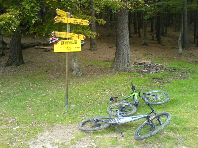 a mountain bike leaning up against a yellow and green sign