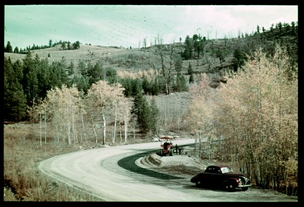 the car is driving on the road through the trees