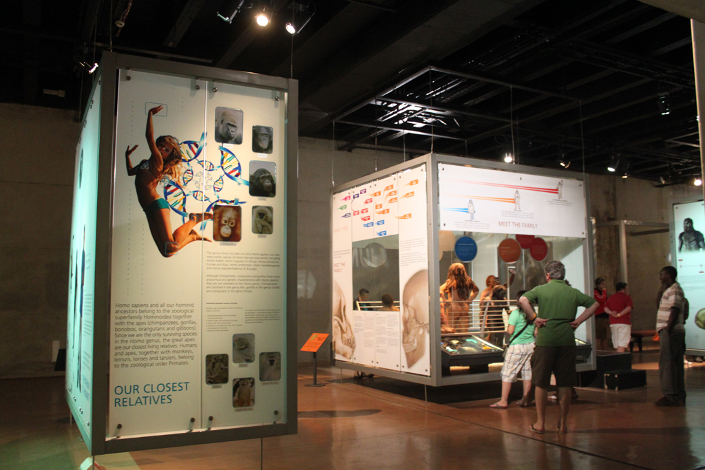a museum showing different exhibits with people observing