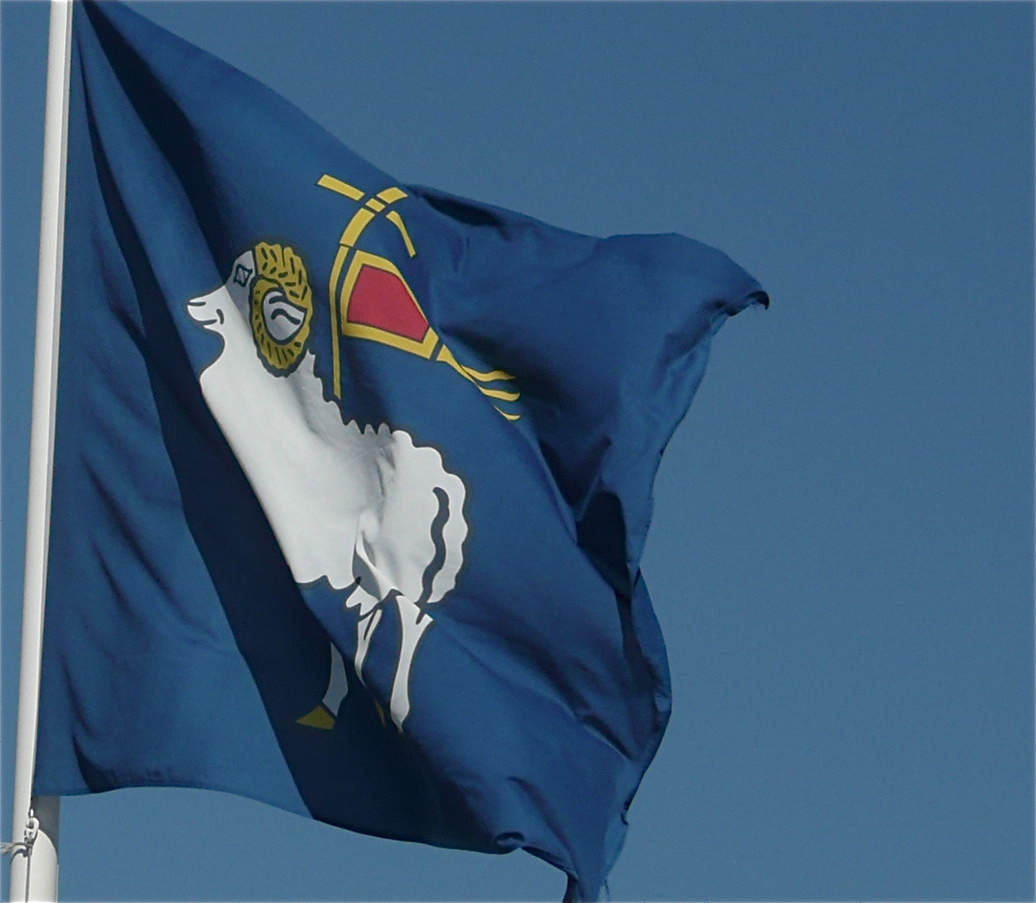 the alaska flag flying in the wind